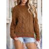 imageEVALESS Sweaters for Women Trendy Crewneck Long Sleeve Color Block Sweater Tops Fall 2025 Chunky Cable Knit Pullover SweatersBrown